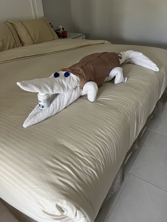 Zimmer The Grand Palace - Adults only