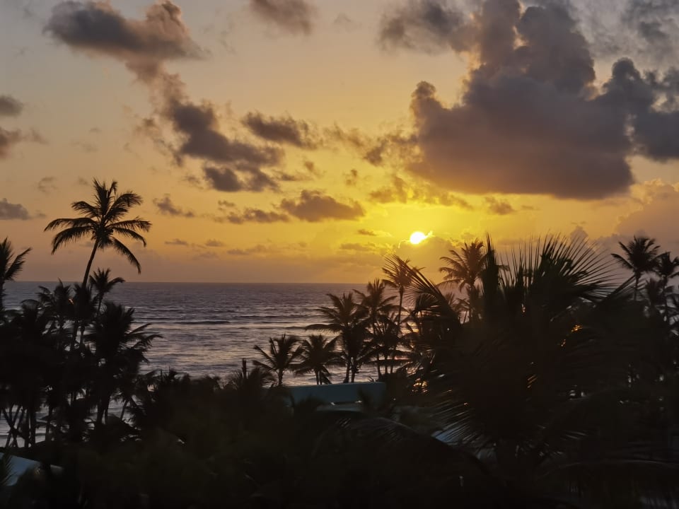 Ausblick Hotel Riu Palace Punta Cana