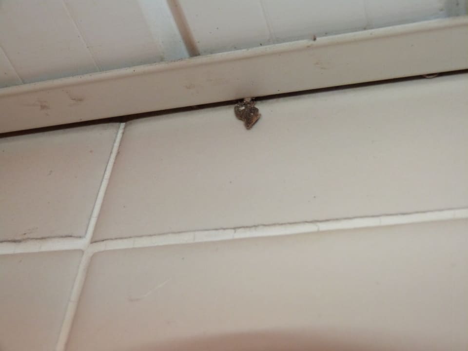 Zimmer Imperial Shams Abu Soma