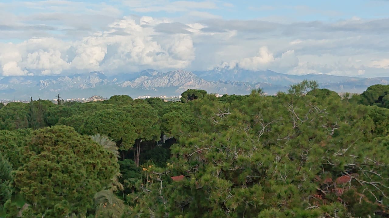 Ausblick Papillon Ayscha