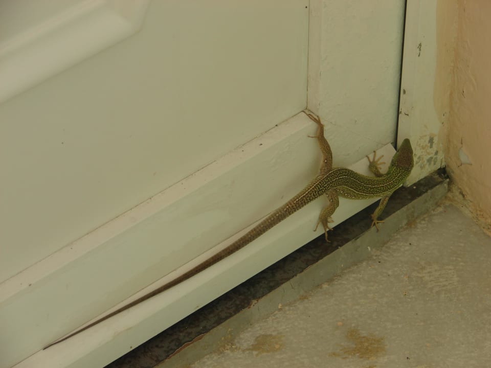 Netter Besuch HARPIN Georgioupolis Resort Aquapark & SPA