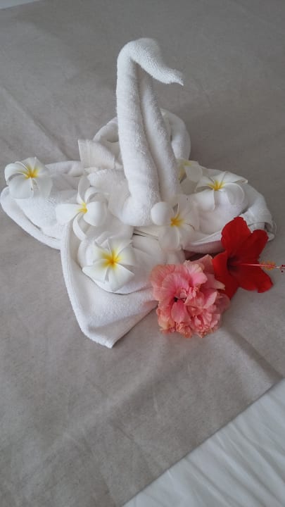 Zimmer Tropical Attitude - Adults only