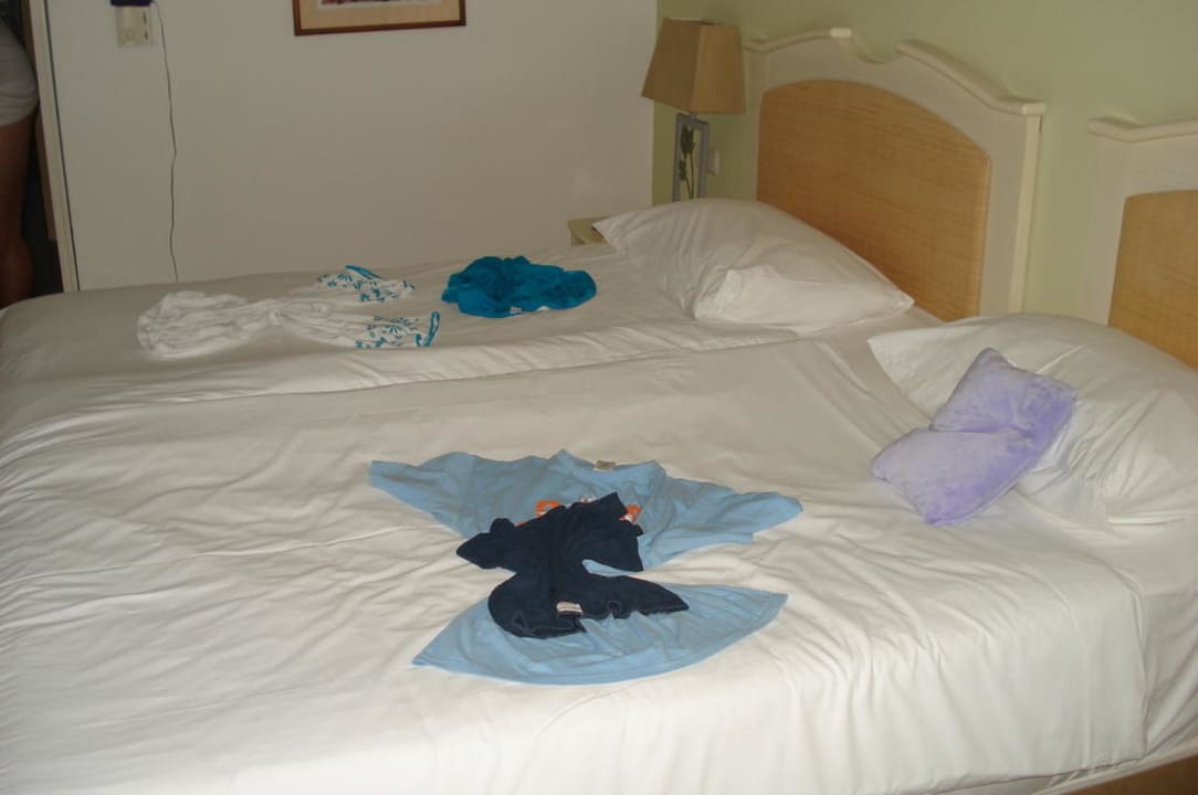 So schön kann man Nachtwäsche hinlegen PALOMA Perissia