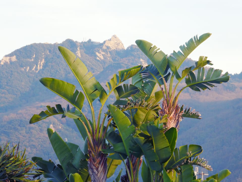 Ausblick Hotel Tritone Terme & Spa