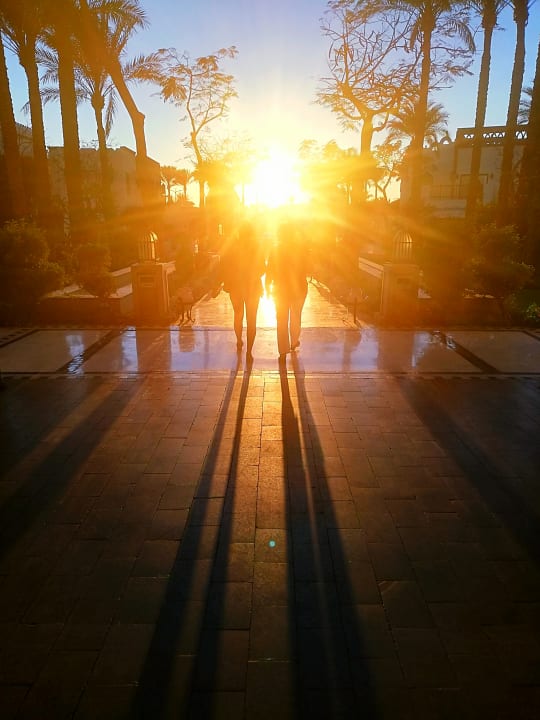 Garten The Grand Hotel Sharm El Sheikh