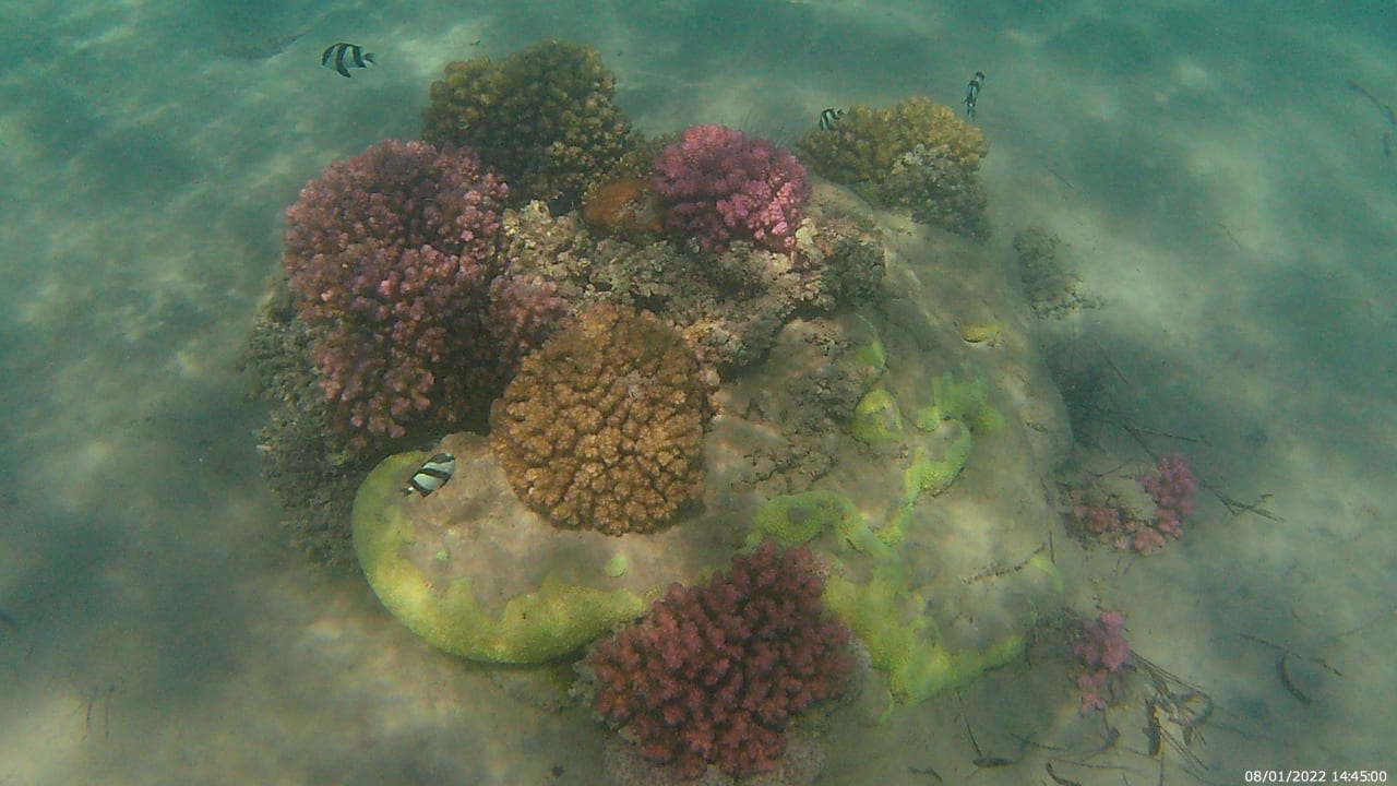 Strand Shams Prestige Abu Soma-Adults Only