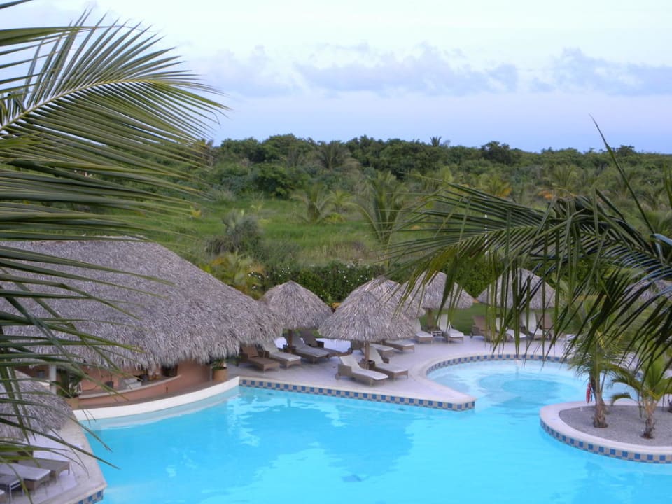 Ausblick vom Zimmer Catalonia Royal Bavaro - Adults only