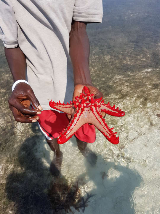 Strand Neptune Village Beach Resort & Spa