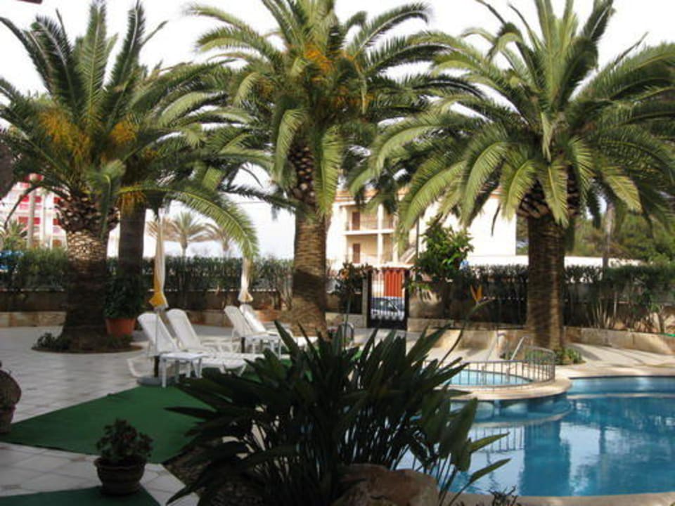 Unter Palmen Villa Piccola