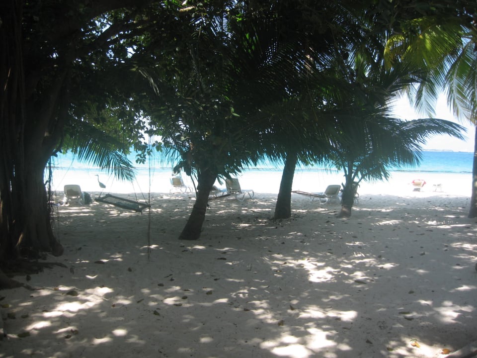 Bereich vor unserer Gartenvilla Kuramathi Maldives