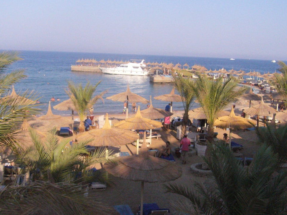 Traumhaft schön Beach Albatros Resort