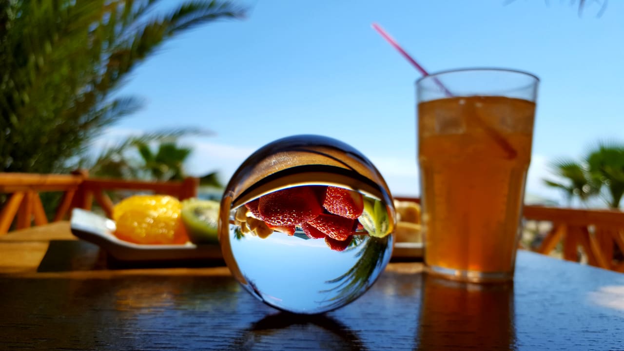Gastro Paloma Oceana
