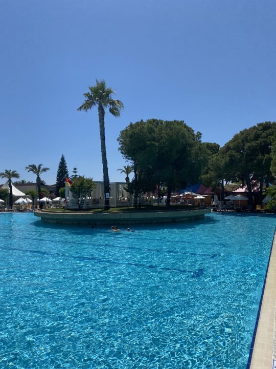 Pool Papillon Ayscha