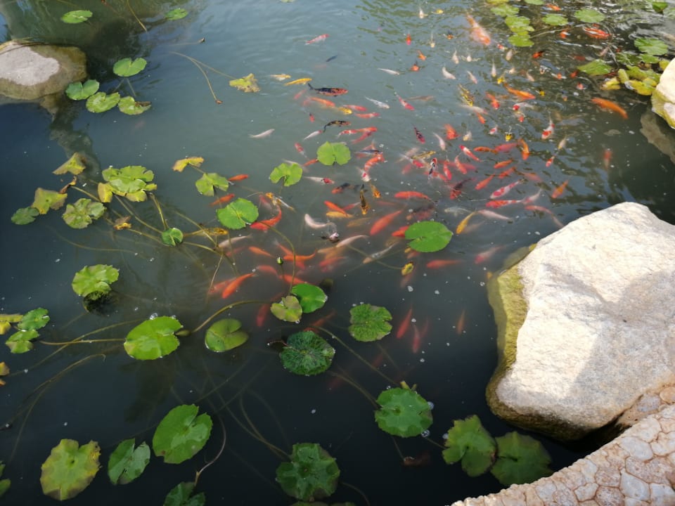 Gartenanlage Eden Beach Resort & Spa, A Lopesan Collection Hotel