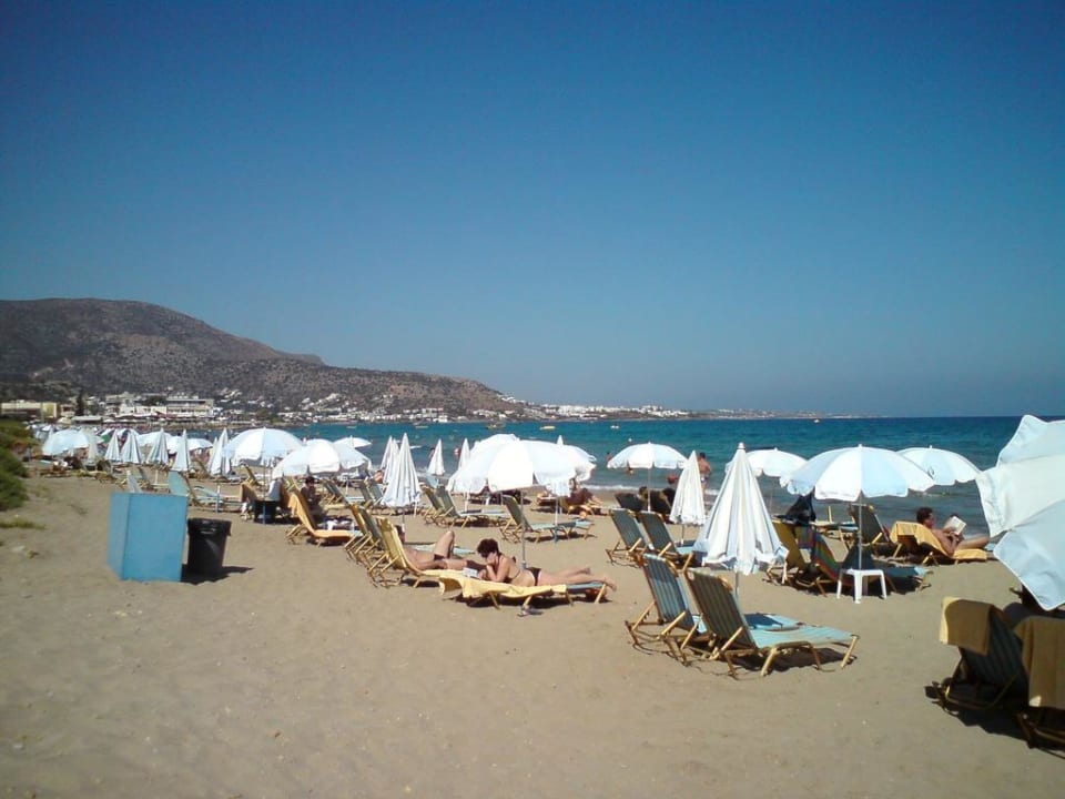 Hotel-Strand Alexander Beach Hotel & Village Resort