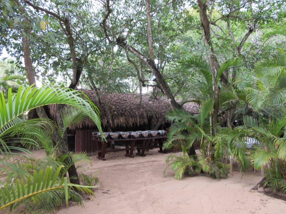Das Junglerestaurant Dreams La Romana Resort & Spa