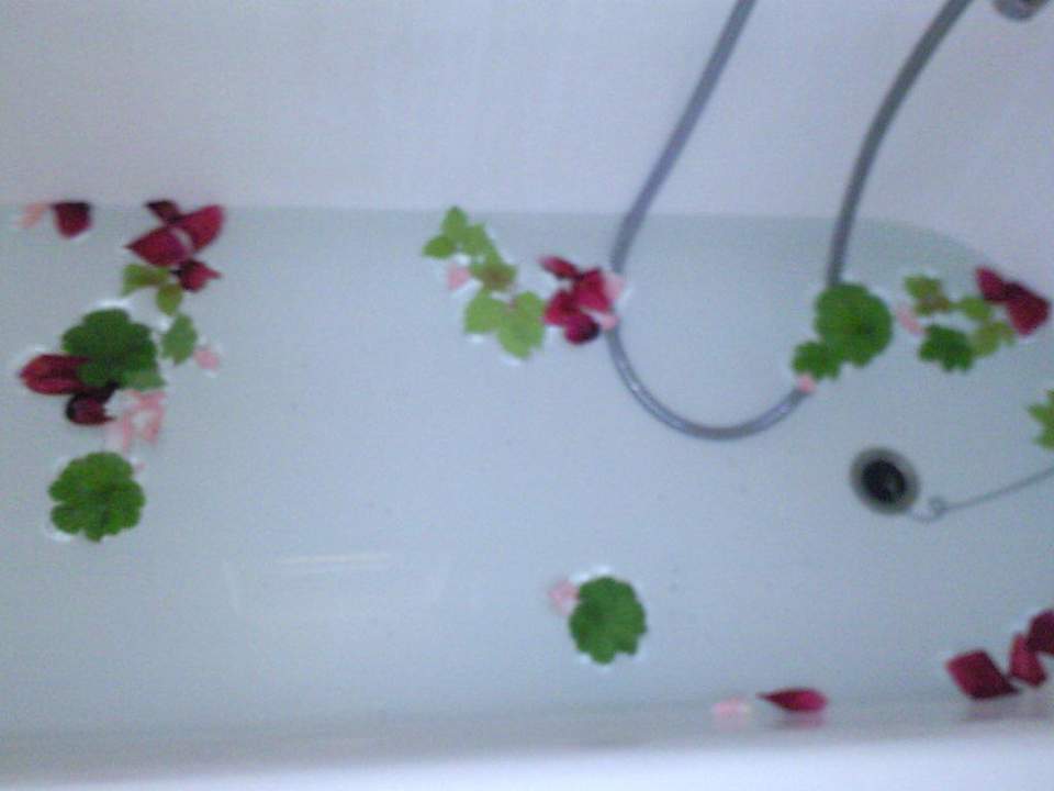 Blüten in unserer Badewanne Maravel Land