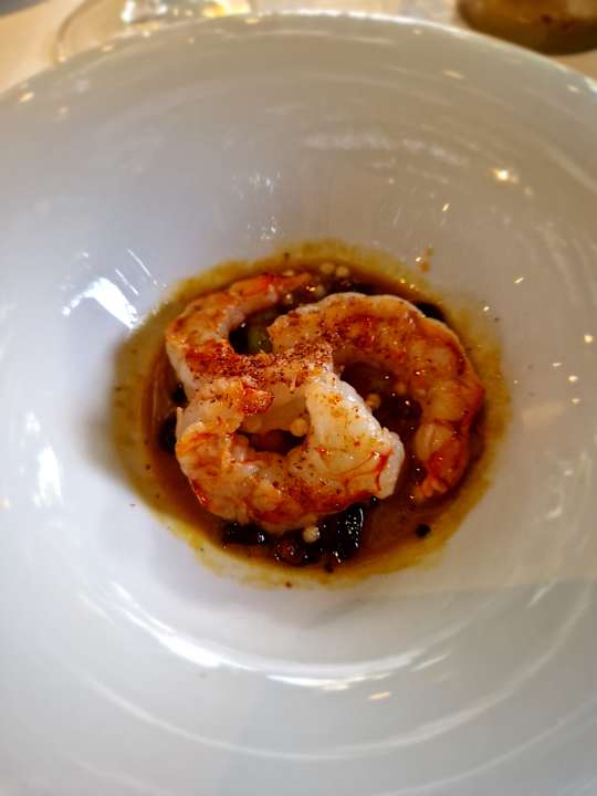 Gastro Hotel Schwarzer Adler