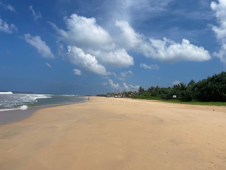 Strand Thaala Bentota