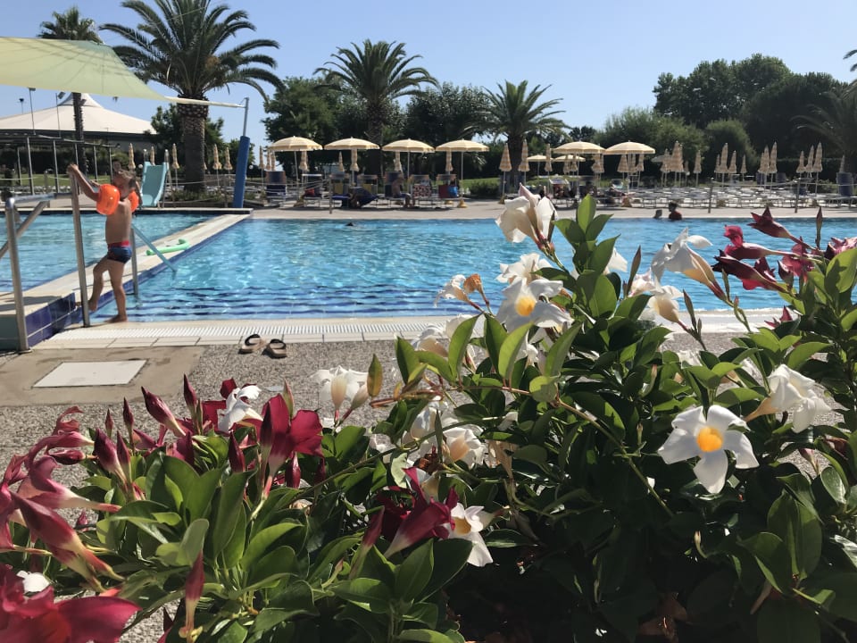 Pool Hapimag Resort Scerne di Pineto