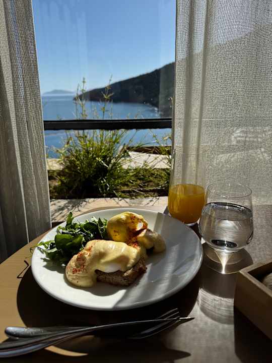 Gastro DAIOS COVE