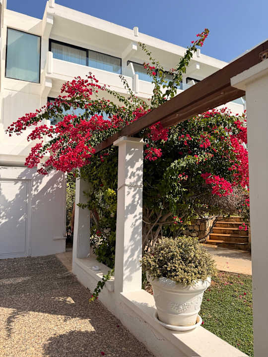 Gartenanlage Hotel Grecian Bay