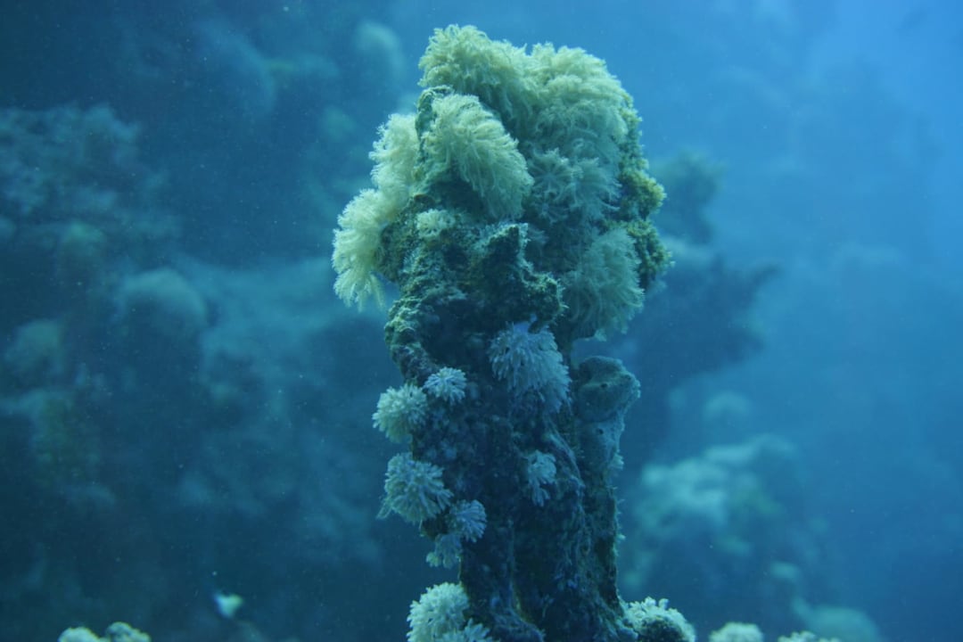 Sonstiges Brayka Bay Resort