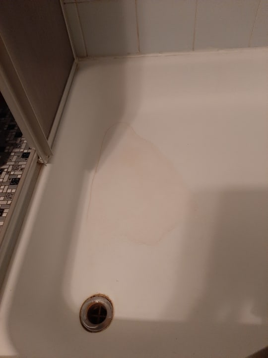 Zimmer AKTIVHOTEL Weisser Hirsch