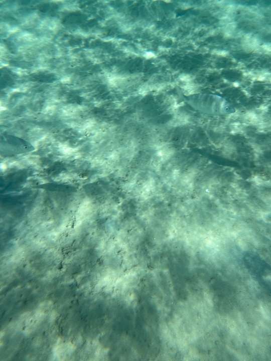 Strand Eagles Paradise Abu Soma