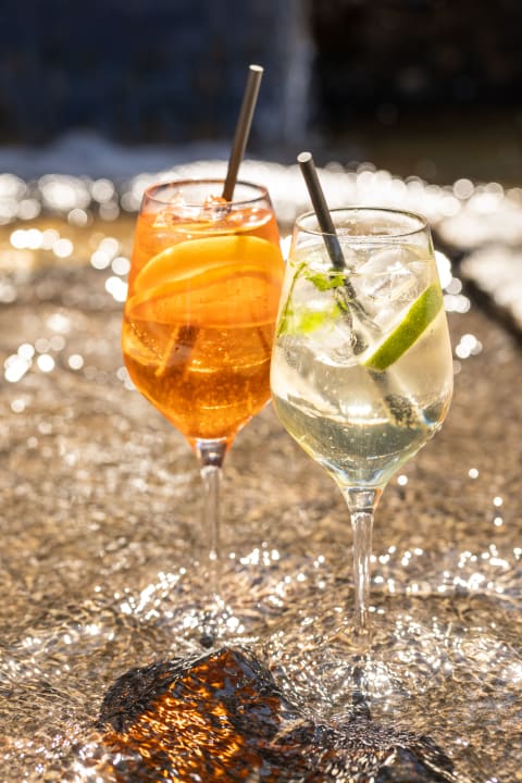 Gastro Hotel Schloss Döttingen