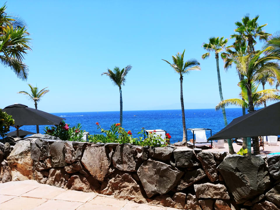 Ausblick Dreams Jardín Tropical