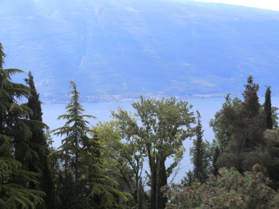 Blick auf den Gardasee vom Hotel Hotel Bellavista