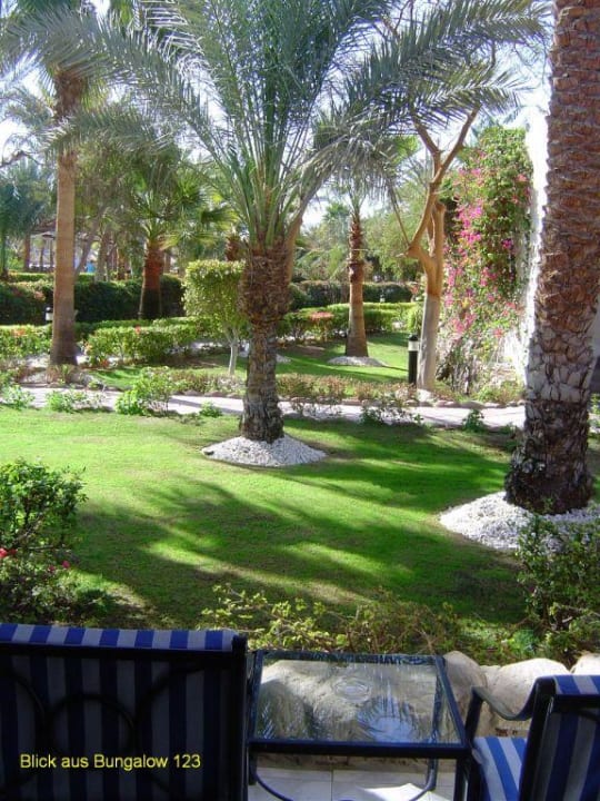 Blick aus unserem Bungalow JAZ Fayrouz