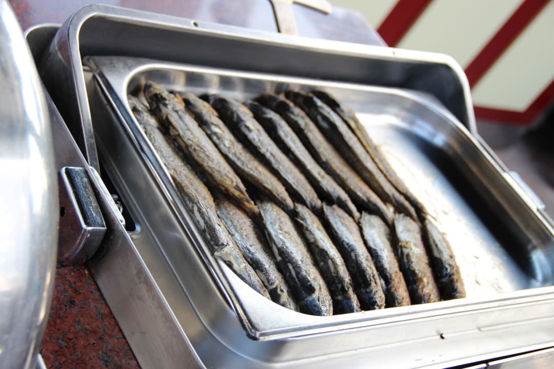 Leckerer Fisch Papillon Belvil