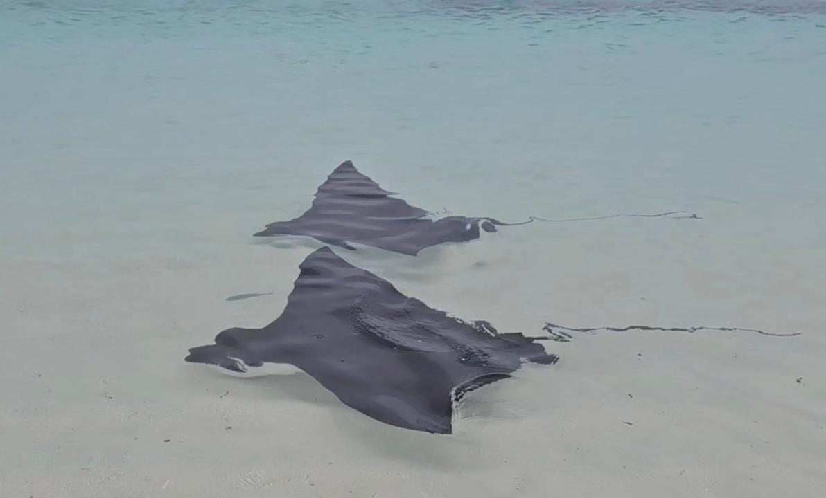 Strand NH Collection Maldives Havodda Resort