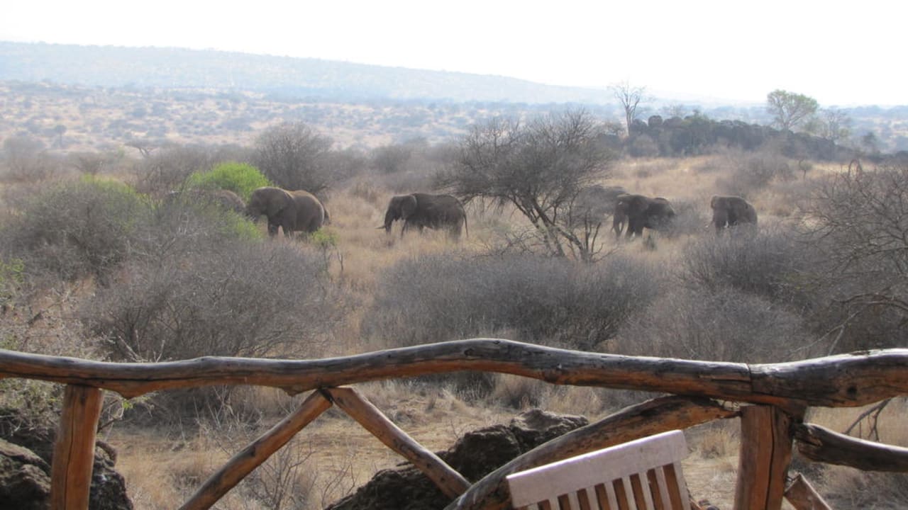 Wasserstelle vom Restaurant aus Satao Elerai Camp