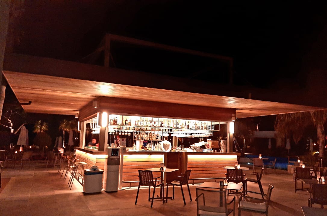 Gastro Acanthus Cennet Barut Collection