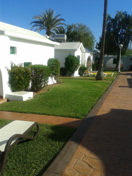 Canary Garden club Canary Garden Club