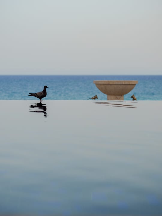 Ausblick Hotel La Badira