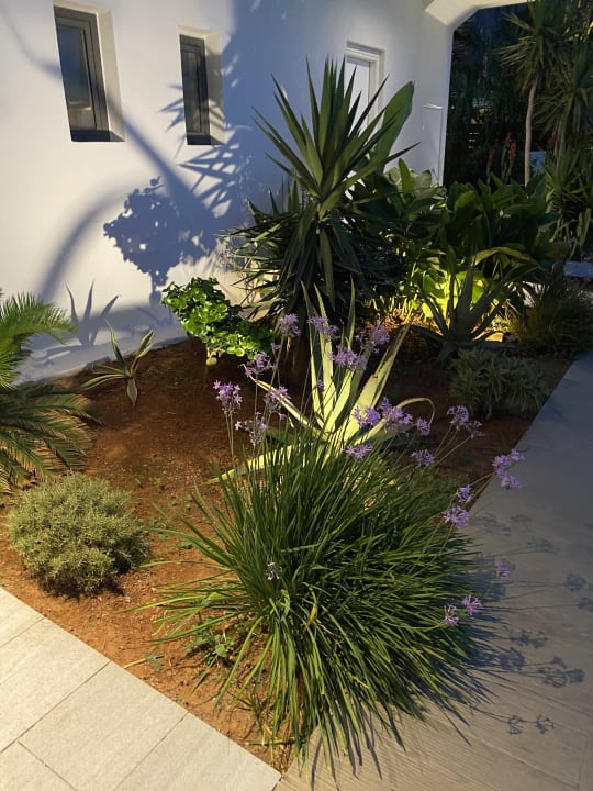 Gartenanlage Paralos Lifestyle Beach