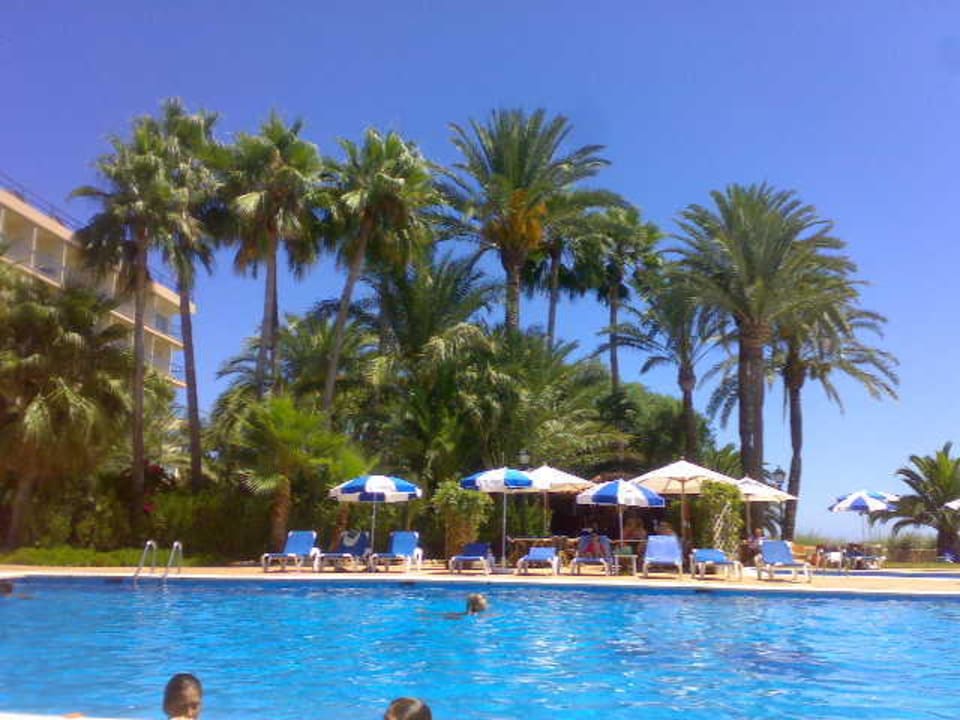 Poolbar und Liegen THB Los Molinos - Adults only