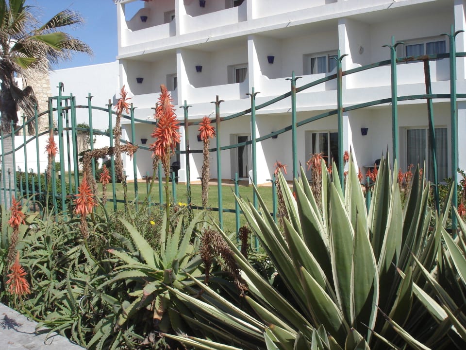 Ogrodzenie hotelu Iberostar Waves Founty Beach