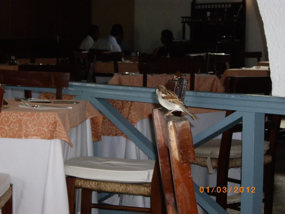 Spatzen Veranda Palmar Beach Hotel