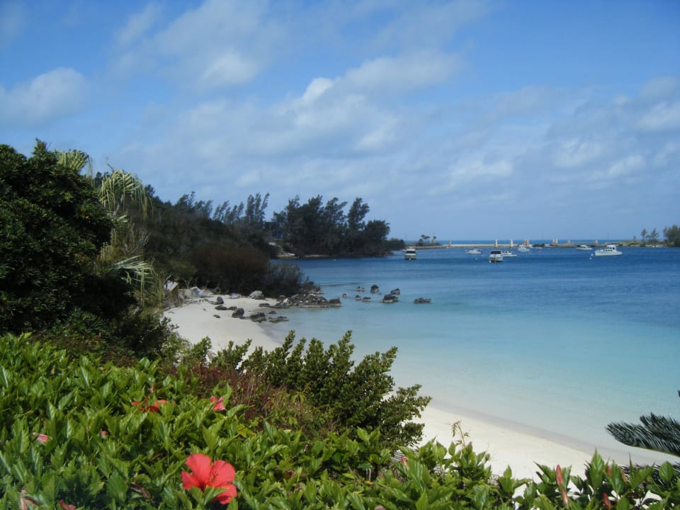 Der Strand beim Hotel Hotel Grotto Bay Beach Resort