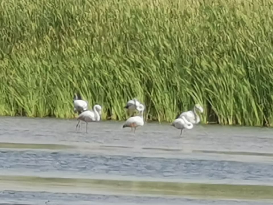 Sonstiges Wyndham Garden Salalah Mirbat