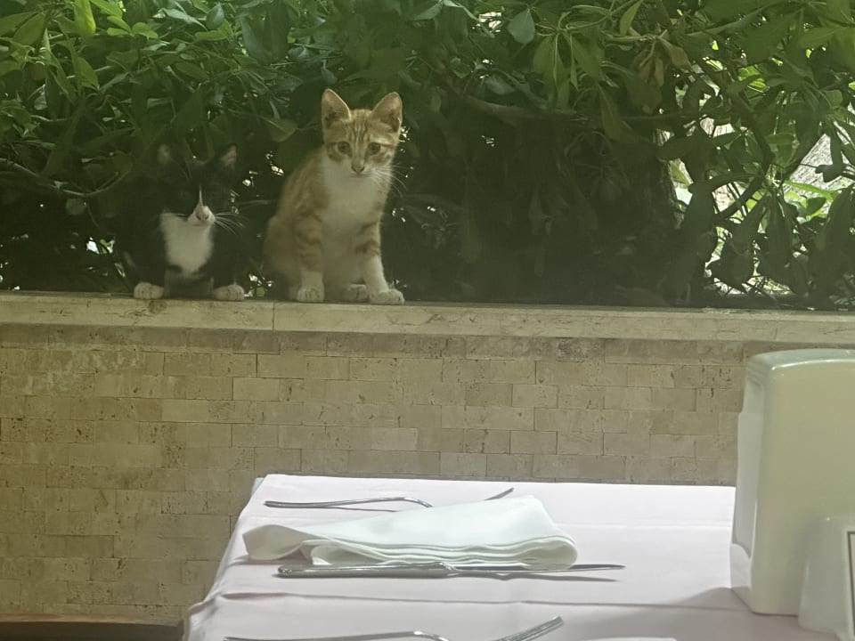 Gastro Hane Family Resort