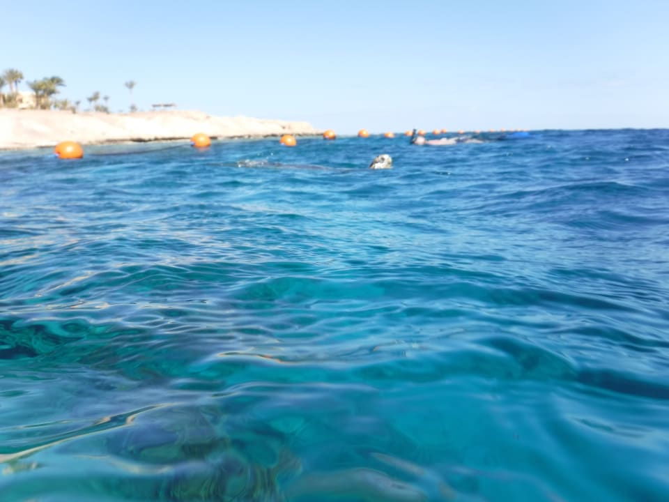 Strand Steigenberger Coraya Beach - Adults only