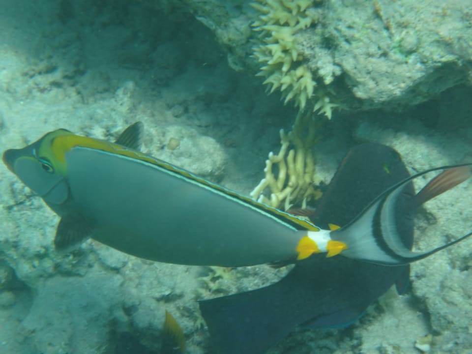 Strand Casa Mare Resort