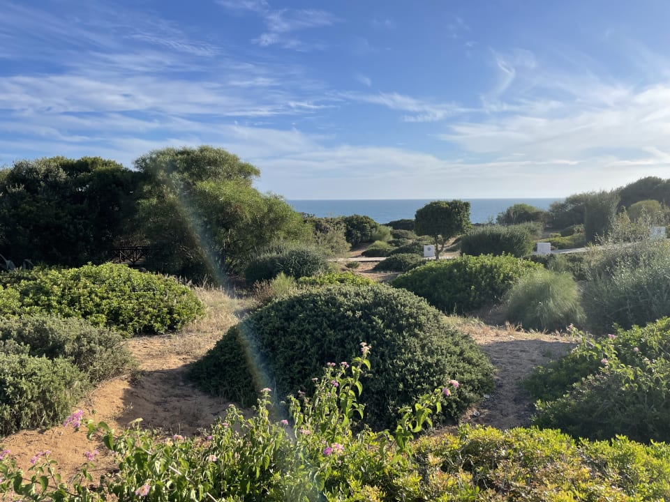 Ausblick Hipotels Gran Conil Hotel