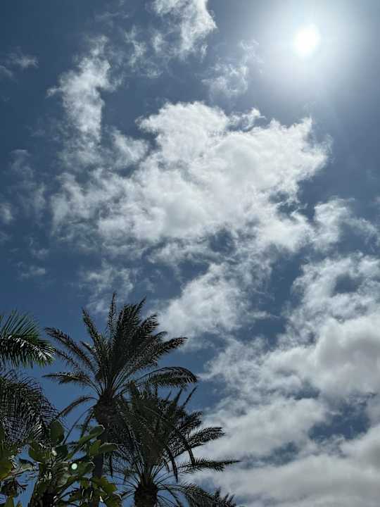 Ausblick Secrets Bahia Real Resort & SPA